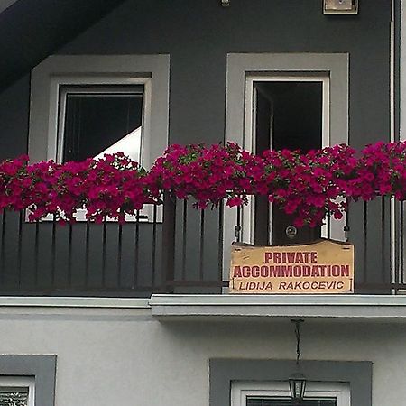 Private Accommodation Lidija Rakocevic Kolašin Exterior foto